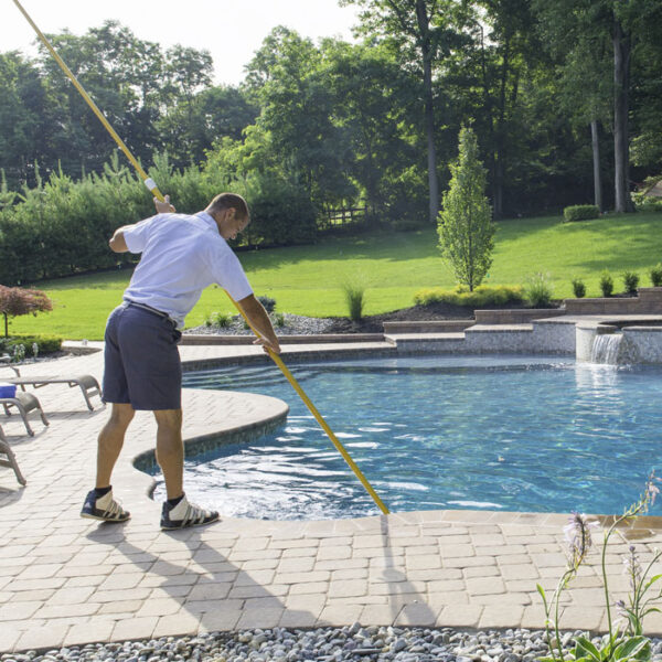 Spring Pool Cleaning Spring Cleaning – Seasonal World